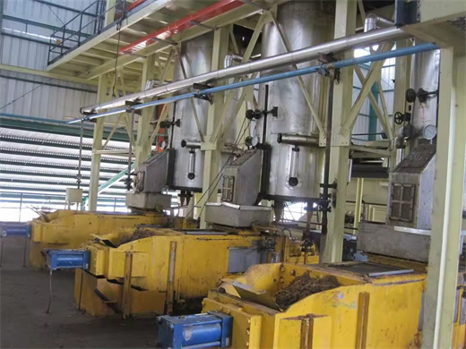 Popular 6Yl Series Moringa Nut Oil Extraction Machine in Botswana