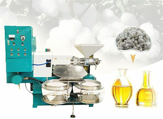 New Type Low Price Sunflower Oil Press in Zimbabwe