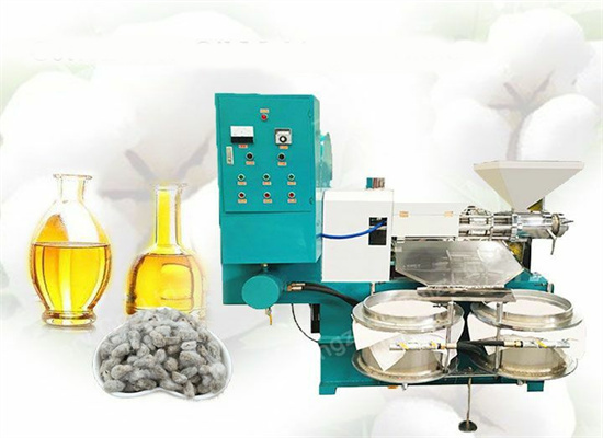 Automatic Latestly Sell Peanut Oil Extraction Machine in Tanzania