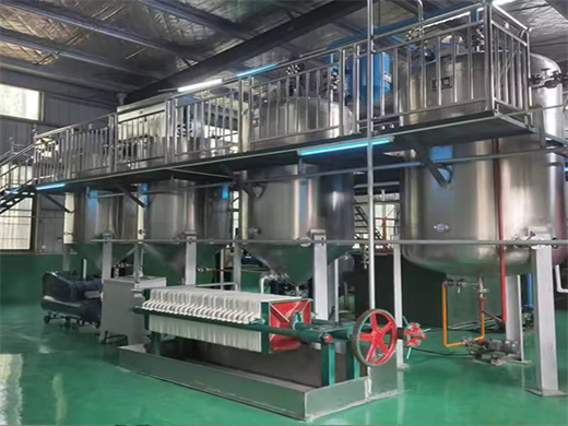 1Tp Palm Kernel Oil Refining Machine in Ethiopia