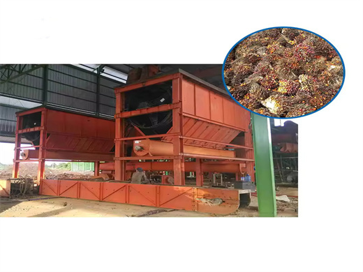 Most Advanced Rapeseed Palm Oil Making Machine in Zimbabwe