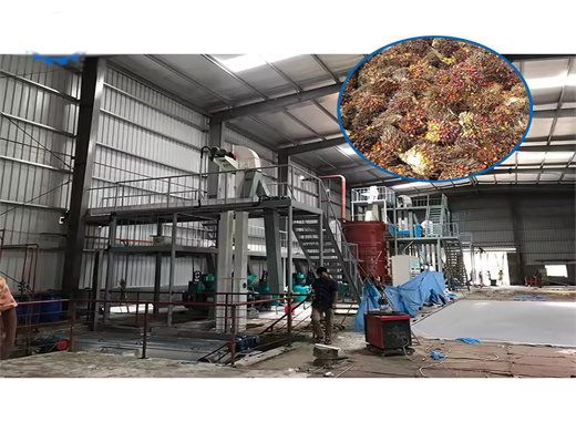 Hot Sale Peanut Oil Extraction Machine With High Quality in Tunisia