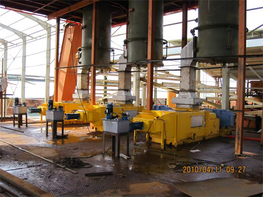 Tasty Sunflower Seeds Oil Press in Angola