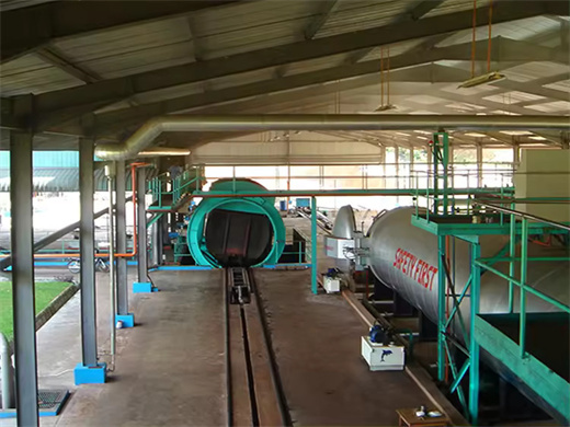 Palm Fruit Oil Production Line With Iso9001 Ce Bv in Botswana