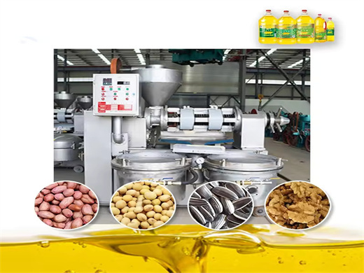 Best Price Peanut Oil Extraction Machine in Ethiopia