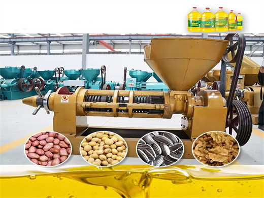 Double Shaft Cashew Nut Hull Oil Press Oil in Tunisia