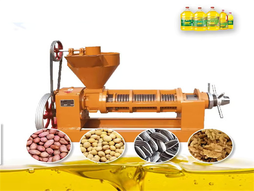 Auto Feeding Palm Copra Screw Oil Extraction Machine in Algeria