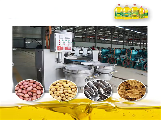 Energy Saving Small Vegetable Oil Press Machine in Burundi