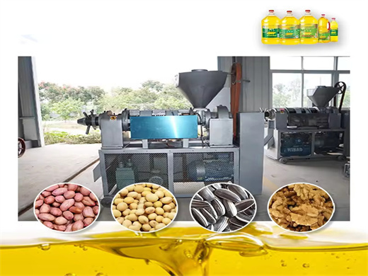 Sunflower Seed Oil Extractor Made In in Senegal