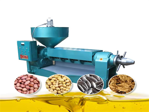 Hot Sale Olive Bean Oil Extraction Machine in Gabon