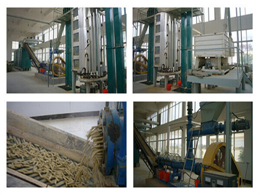 Factory Price Oil Expeller Palm Oil Machine in Tunisia