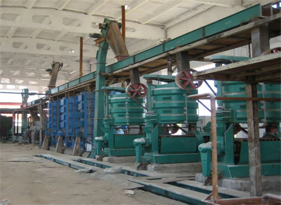 Seed Oil Refining Making Equipment in Algeria