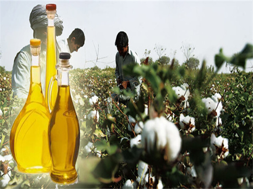 Best Sales Flaxseed Oil Press Machine Has A High Oil Rate in Botswana