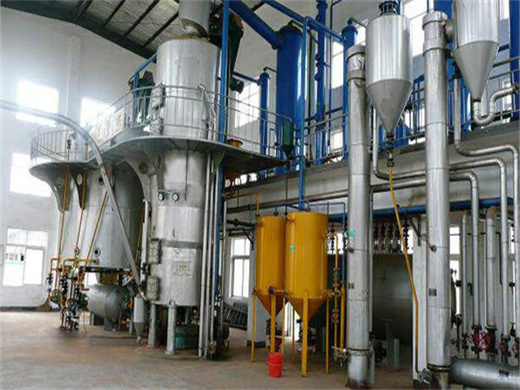 Flaxseed Oil Expression Machine Filter in Kenya