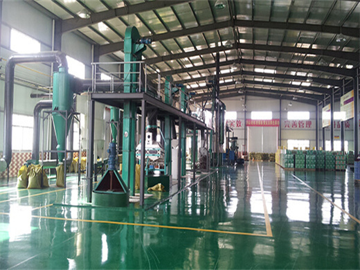 Hot Selling Neem Oil Extraction Machine in Mali