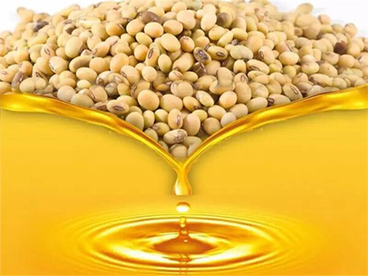 Plant Extract Oem Products Omega 3 Sacha Inchi Oil in Niger