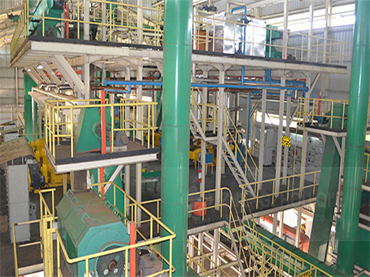 Oil Palm Fruit Process Equipment in Kenya