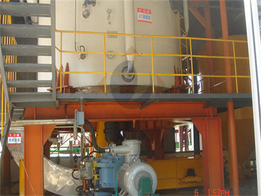 As021 Low Price Neem Oil Extraction Machine in Malawi