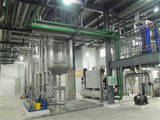 Canola Oil Refined Production Equipment in Tunisia