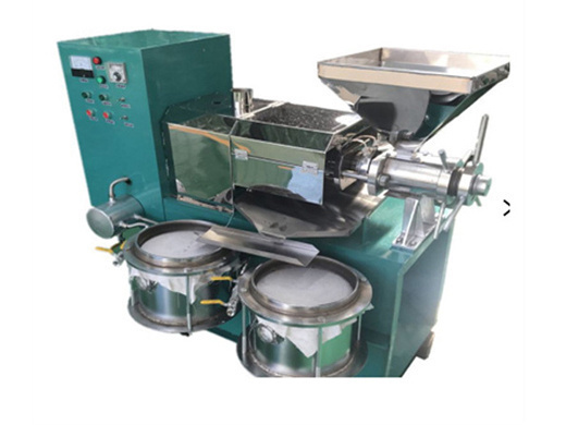 Automatic Cold Press Peanut Sunflower Oil Machine in Botswana