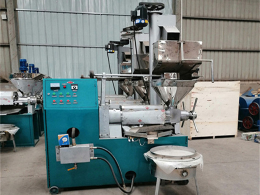 Automatic Nuts Oil Expeller in Angola