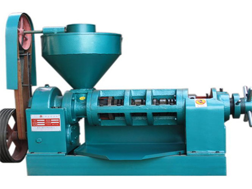 Ce Approved Almond Oil Press Machine in Niger