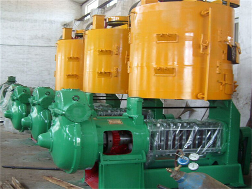 The High Quality Vergin Cocunet Oil Machines in Zambia