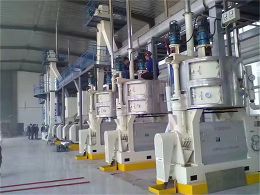 Cold Pressing Palm Sunflower Oil Extraction Machine Cost in Sudan