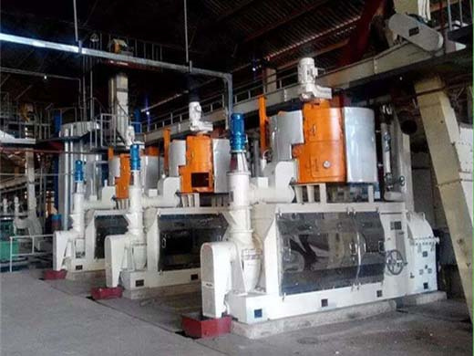 Hot Pressing Coconut Seeds Oil Extraction Machine in Congo