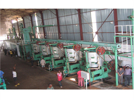 Best Price Soybean Seed Oil Making Machine in Tanzania