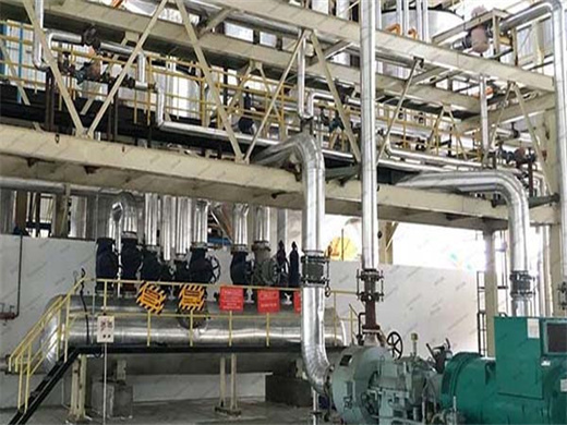 Good Quality Coconut Oil Extraction Machine in Zambia