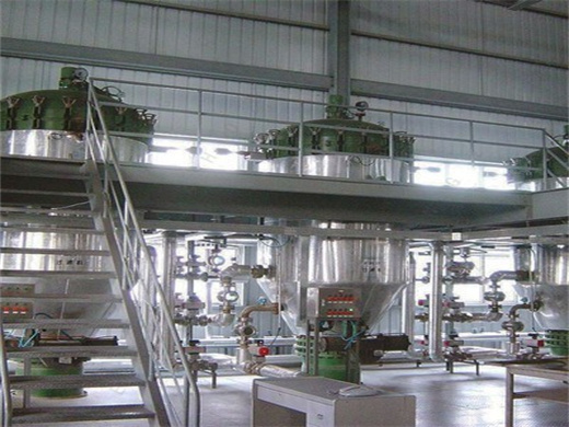 Soya Beans Oil Pressinger Plant in Morocco