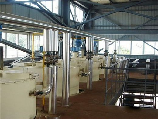 Professional Automatic Sesame Oil Press Machine in Kenya