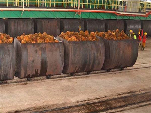 Small Cold Almond Oil Press Plant in Congo