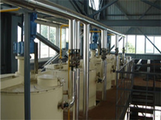 Bio Oil Production Machine Prototype in Gabon