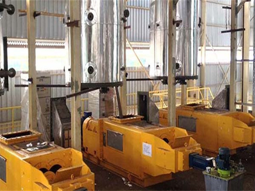 Processing Cashew Nuts Double Shaft Oil Expeller in Cameroon