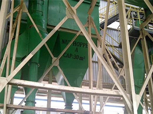 Excellent Palm Kernel Oil Fractionation Plant in Tanzania