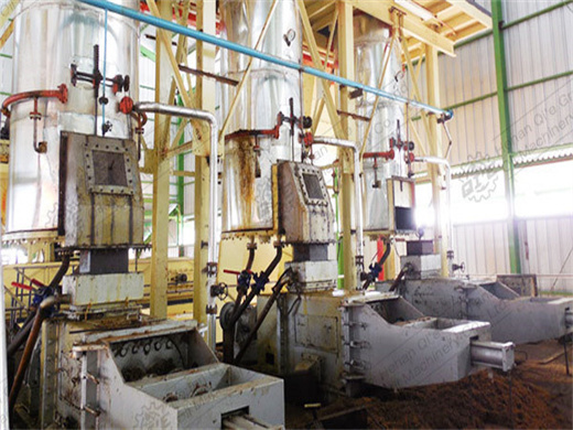 Peanut Oil Machine 2017 in Mozambique