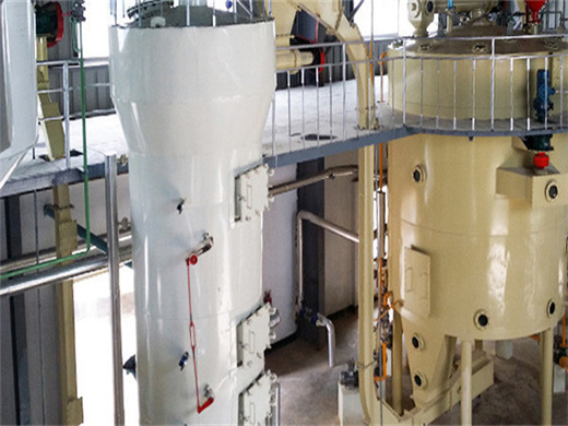 New Type Safflower Seed Oil Press Machine With Oil Filter in Niger