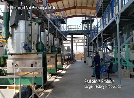 Castor Oil Refinery Processes in Zimbabwe