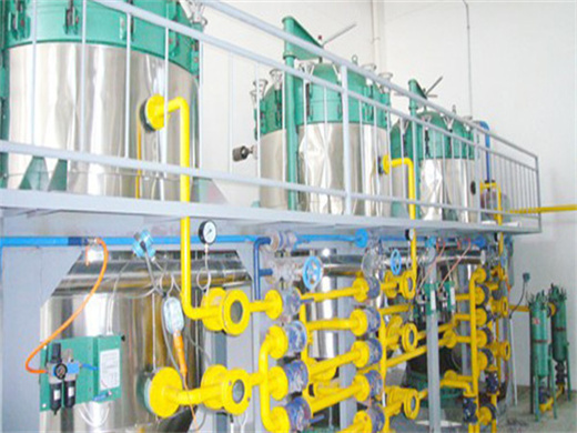 10 Tpd Cold Pressed Coconut Oil Production Line in Sudan