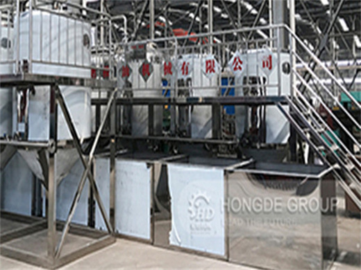 Best Manufacturer Rice Bran Oil Equipment Plant in Morocco