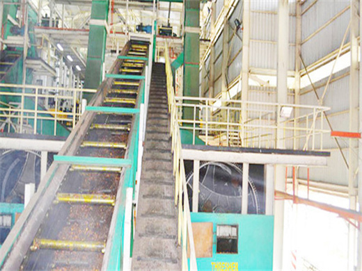 Crude Maize Oil Refining Machinemaize Oil Machine in Ivory Coast