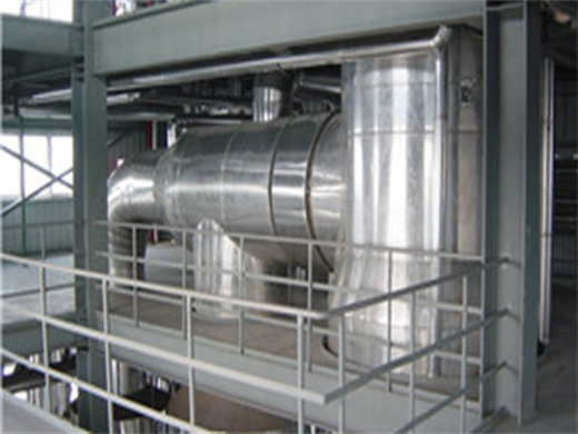 Small Scale Palm Oil Refining Machine in South Africa