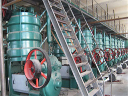 Palm Manual Oil Extractor Machine in Angola