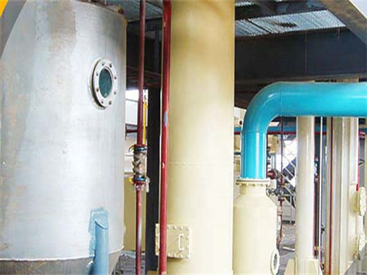 Cold Coconut Oil Extraction Machine Ler in Congo