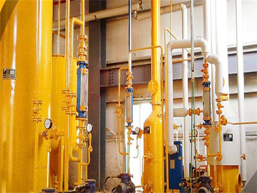 Full Automatic Soybean Cake Oil Extraction Plant in Morocco