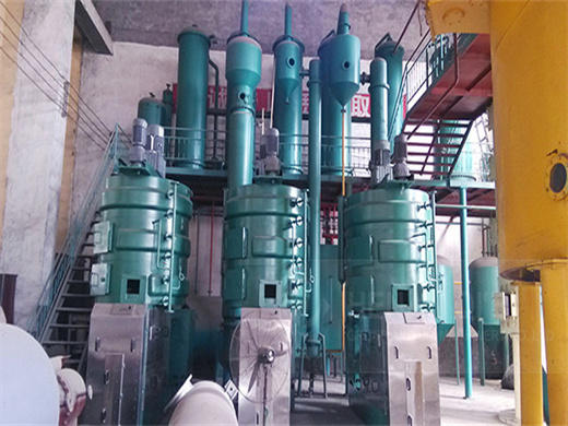 Professional Coconut Oil Press Machine Sesame in Namibia