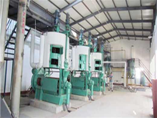 Widely Used Vegetable Seed Crushing Oil Expeller in Algeria