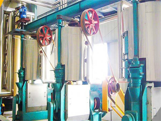 Medium Capacity 100 Tonne Soybean Oil Plant in Algeria